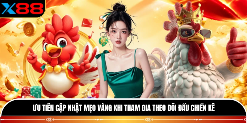 Ưu tiên cập nhật mẹo vàng khi tham gia theo dõi đấu chiến kê